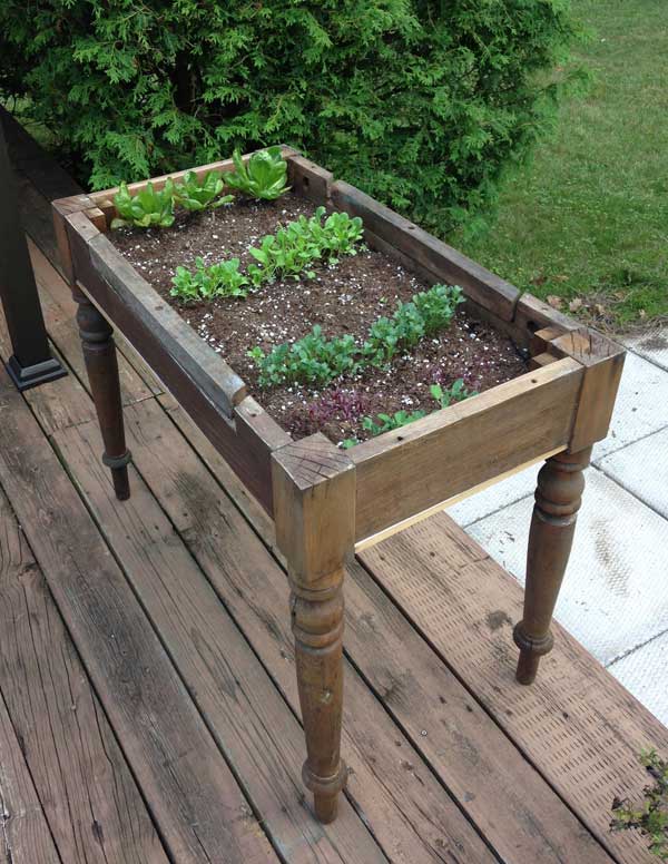 old table lettuce stand raised garden bed