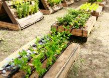 pallet raised garden beds in shapes of pryamids
