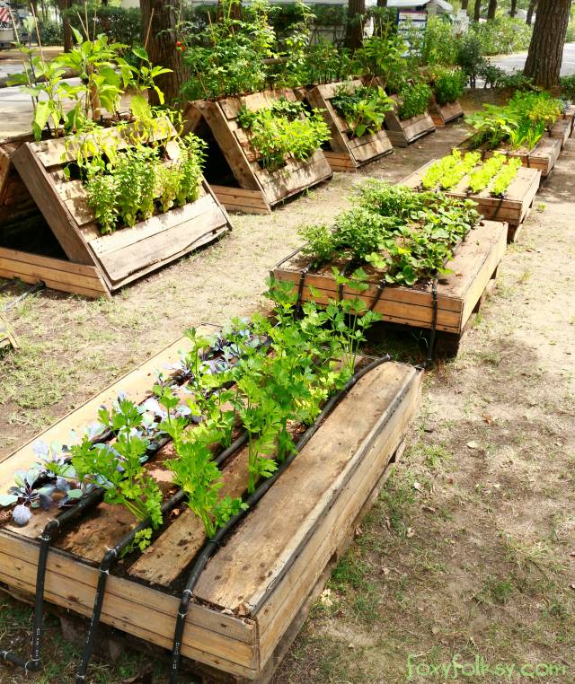 pallet raised garden beds in shapes of pryamids