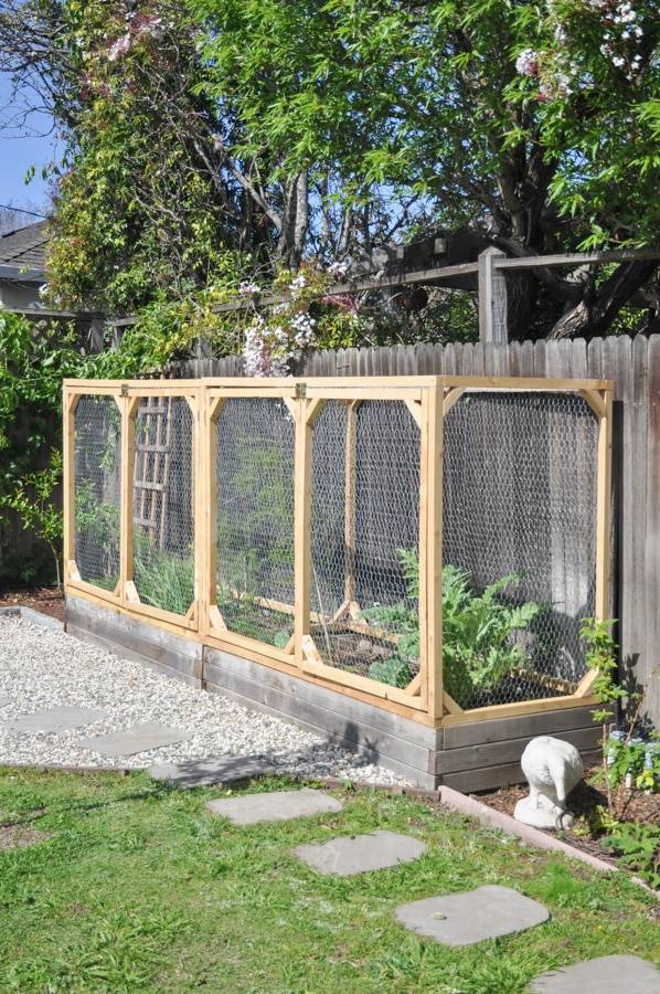 raised garden beds with frames covered in chicken wire