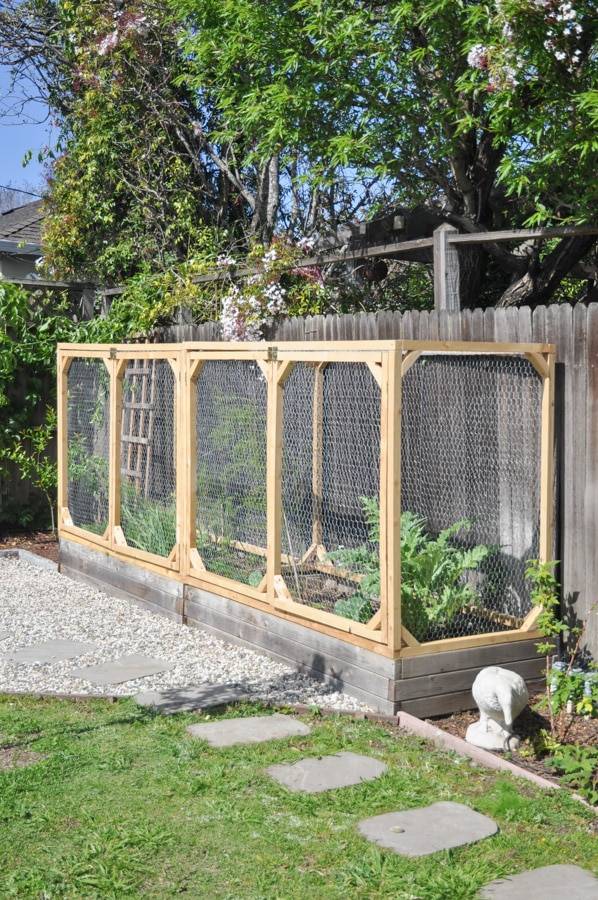 Chicken Wire Mesh Used in Garden as Fence, Raised Bed, Trellis