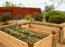 raised cedar garden beds pots on each corner wide shot