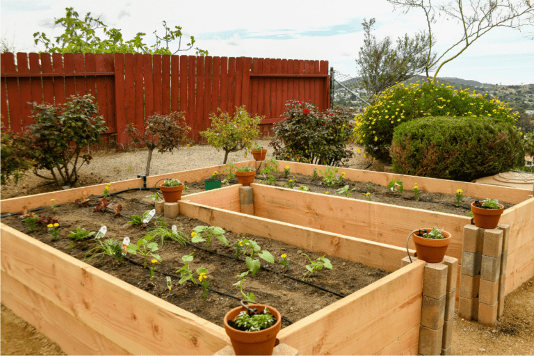 40 Inexpensive Raised Garden Bed Ideas for a Cheap, Above-Ground Garden ...