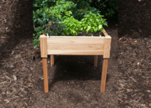 raised garden bed on legs with plants inside on top of mulch