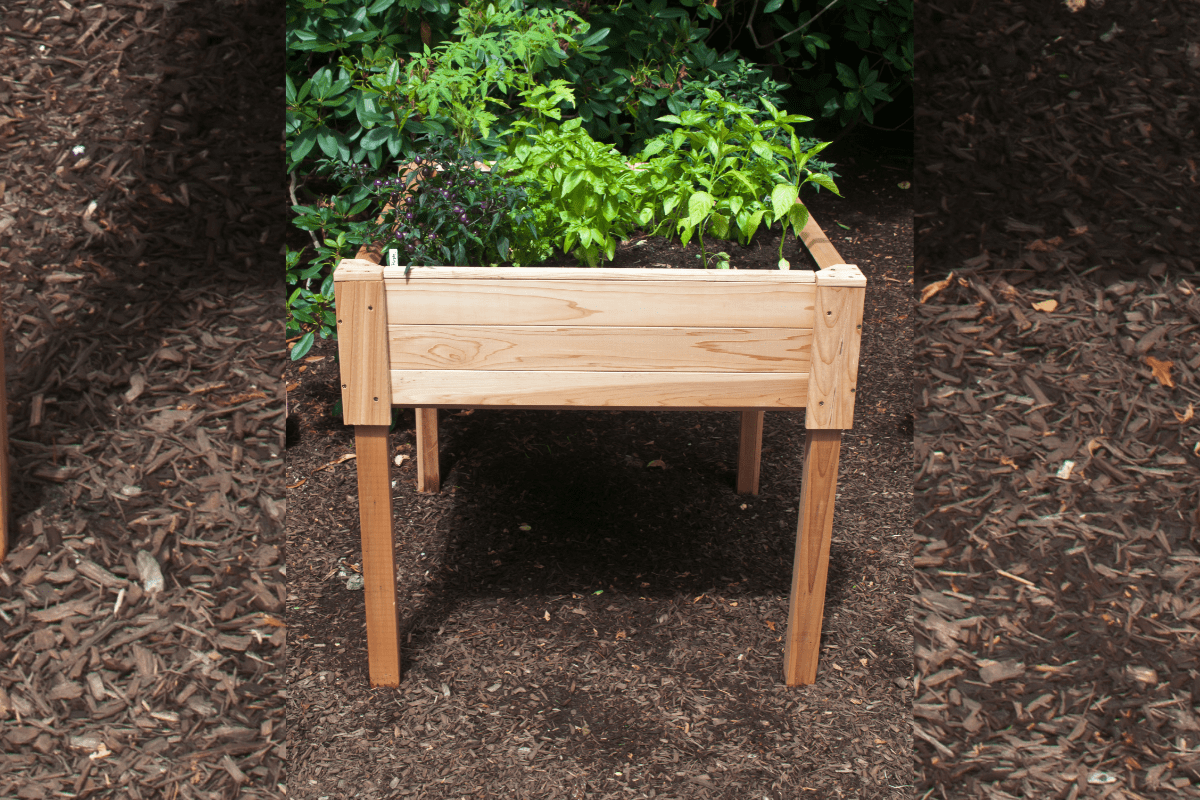 raised garden bed on legs with plants inside on top of mulch