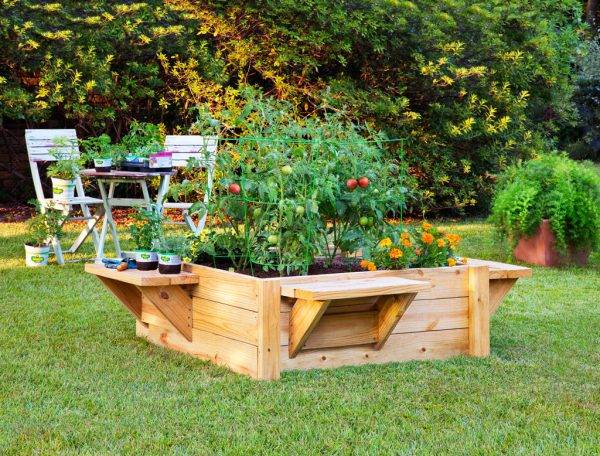 18 Raised Garden Bed Ideas at All Price Points