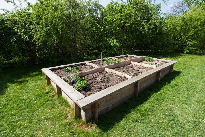 raised garden bed dividers on grass