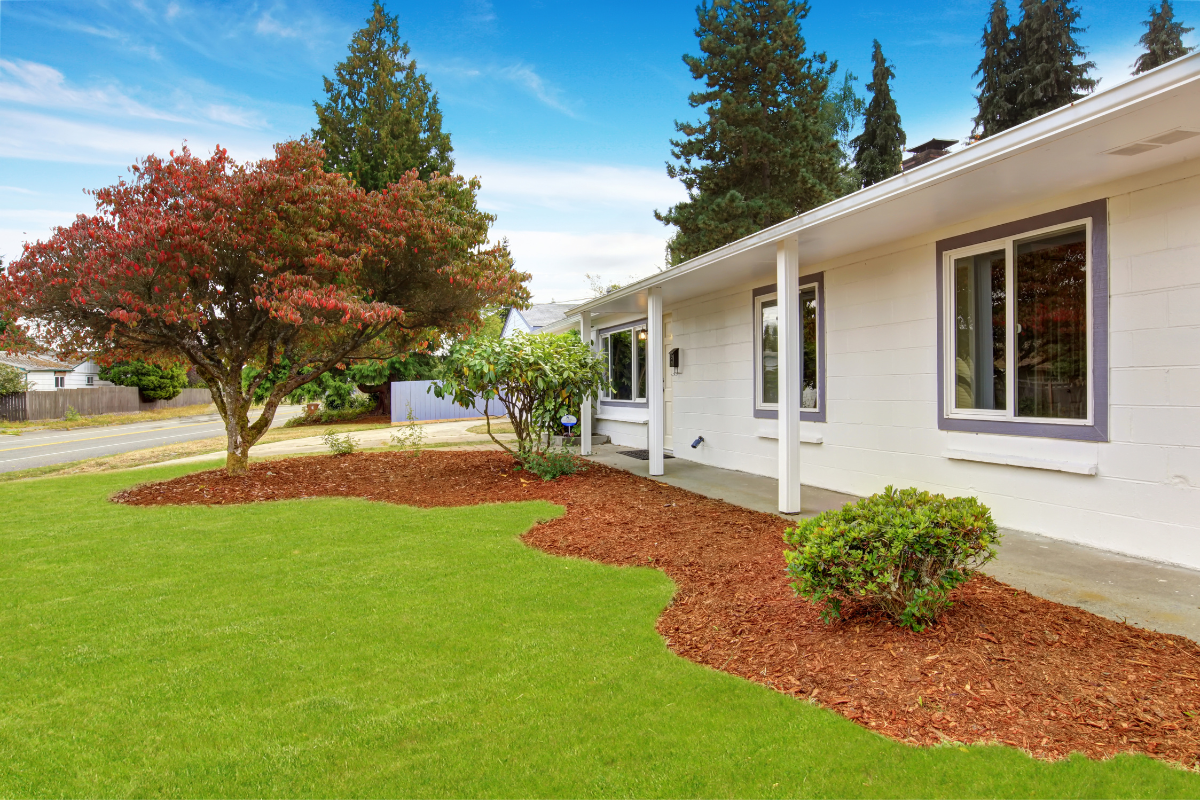 white front house simple landscape grass and red mulch shrubs trees