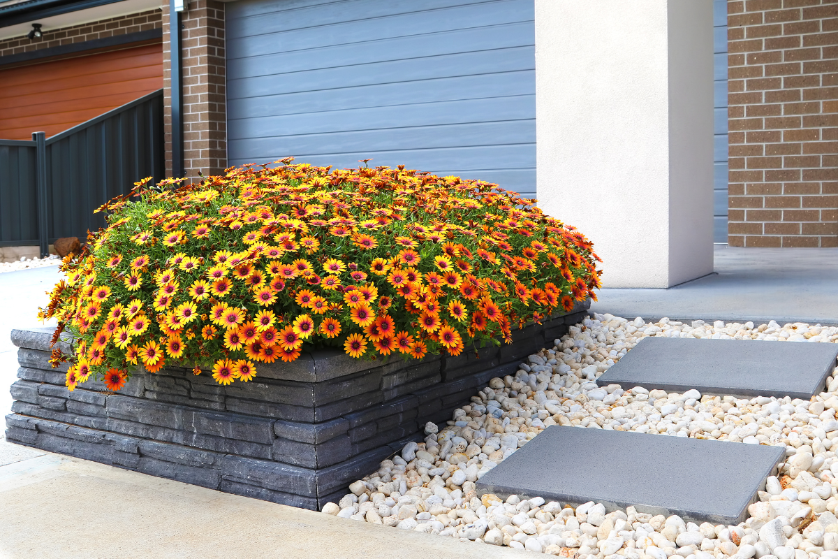 planter box front of house stones garden path cement garage door