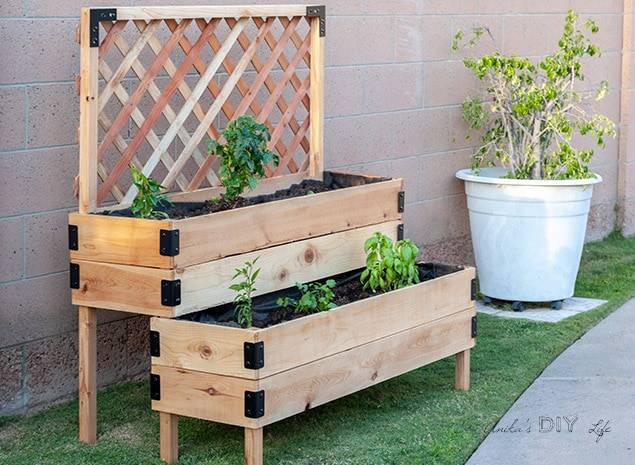 garden bed wall ideas