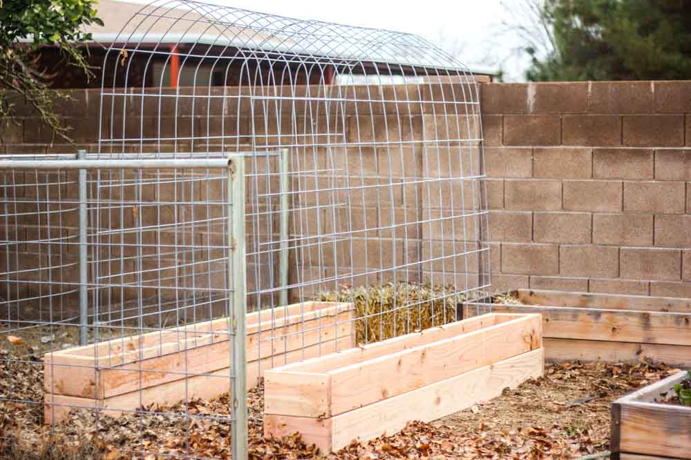 trellis curved garden bed wooden boxes brick wall background