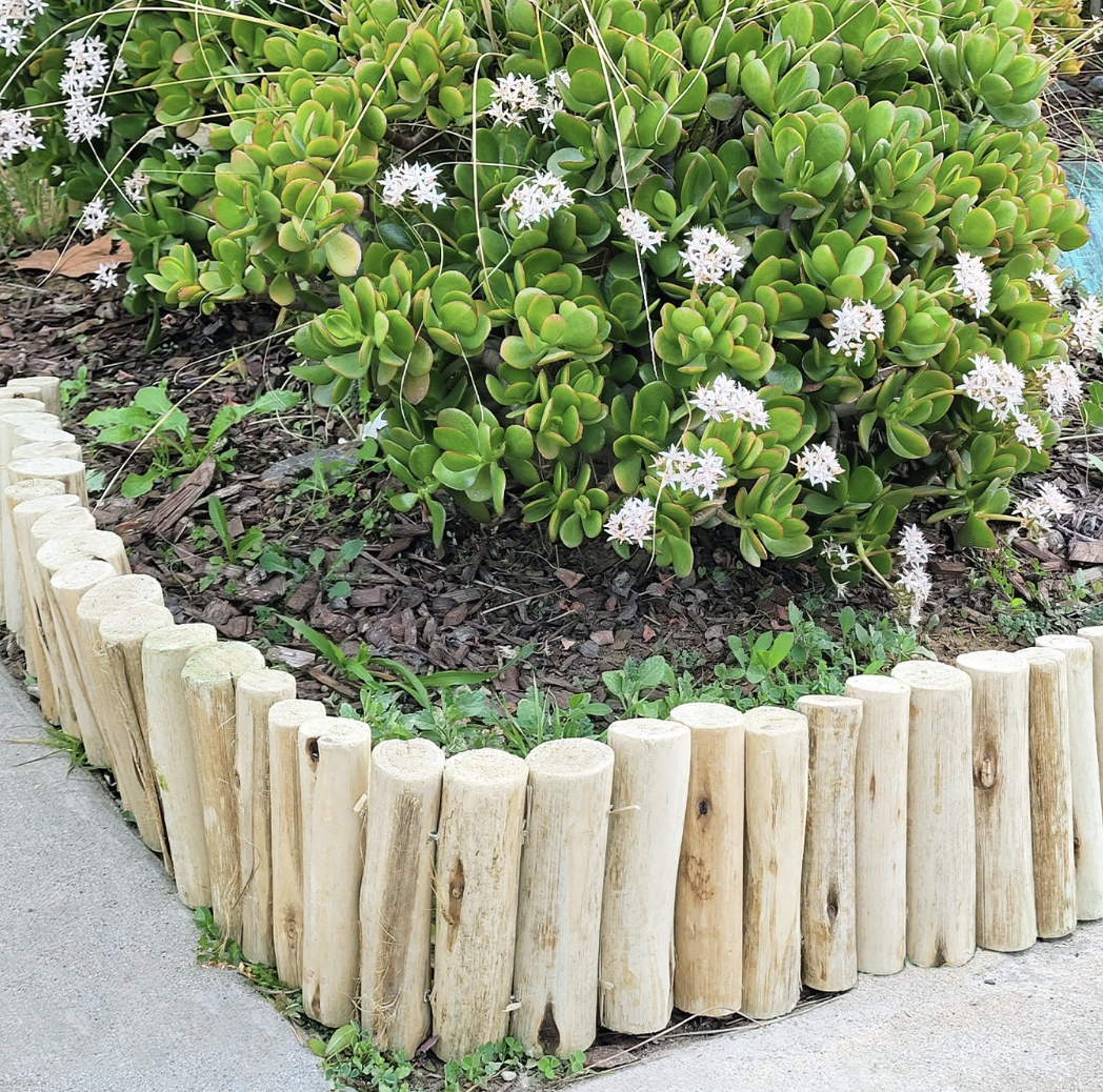 bamboo light wood edging around garden bed close up