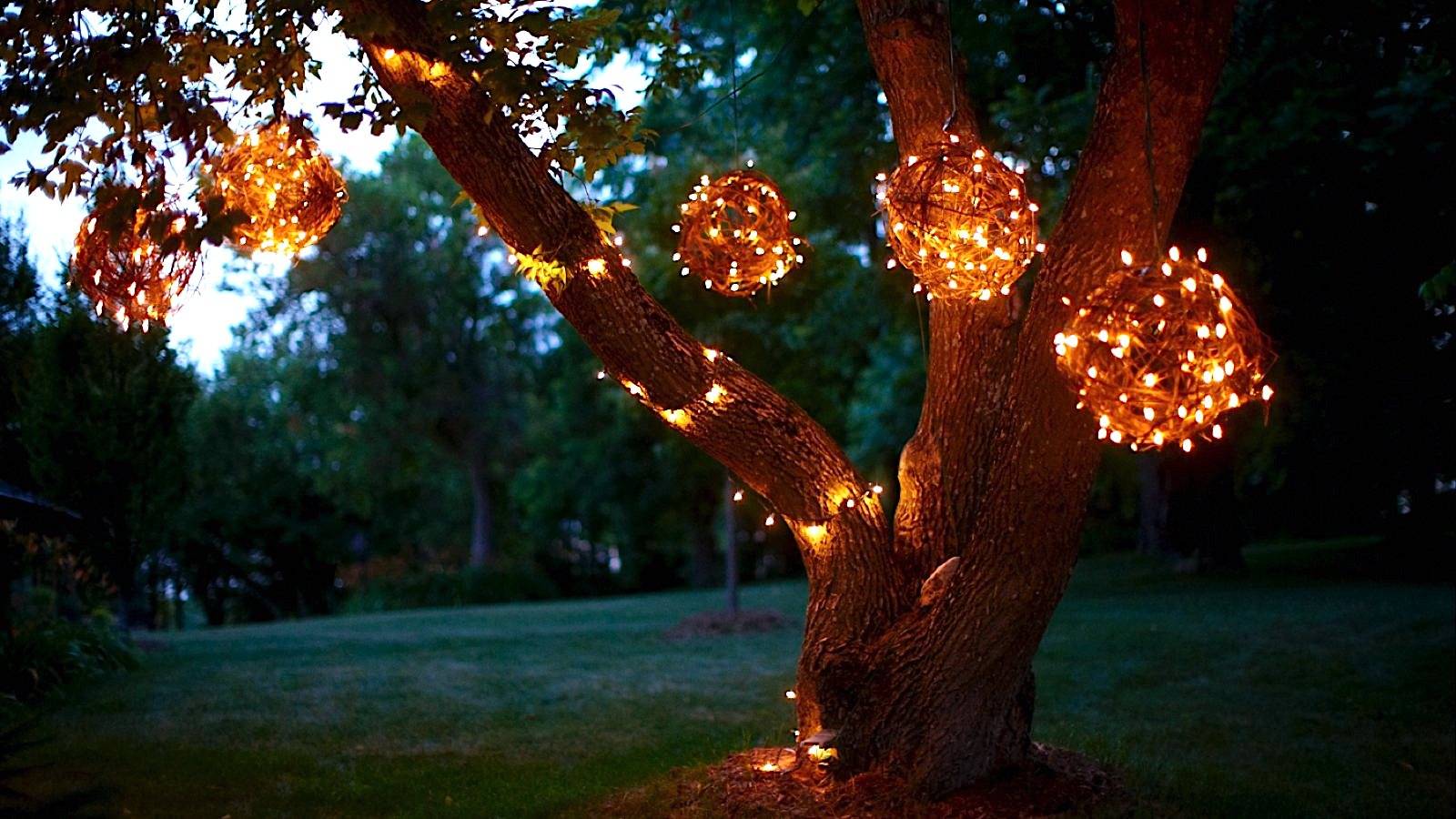 hanging grapevine balls from tree lit up at night