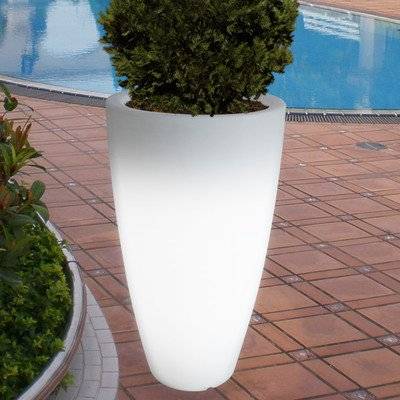 illuminated white planter closer up with cedar tree in front of pool