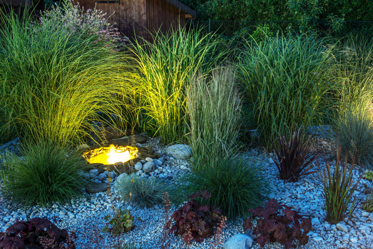 lit up garden stone blue stones tall grass