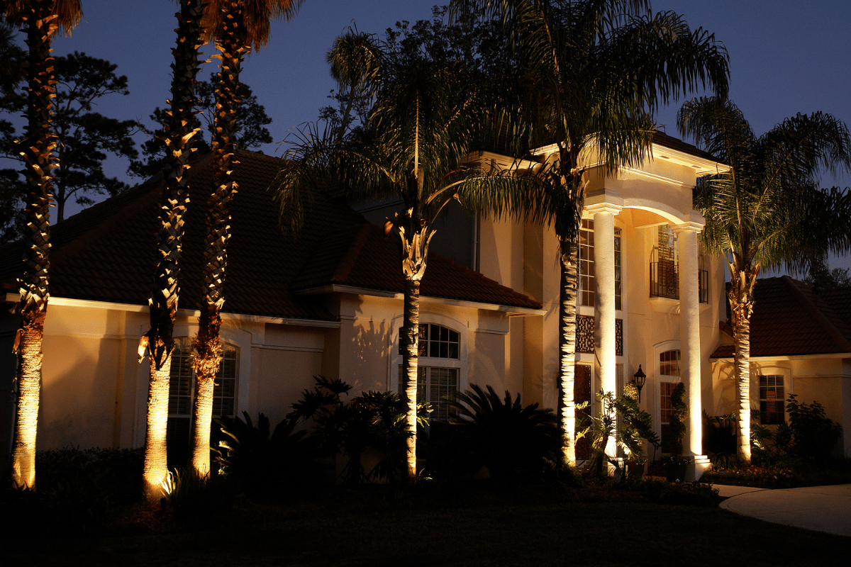 palm treed lit up at night in front of large house mansion