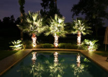 lit up palm trees by pool at nights
