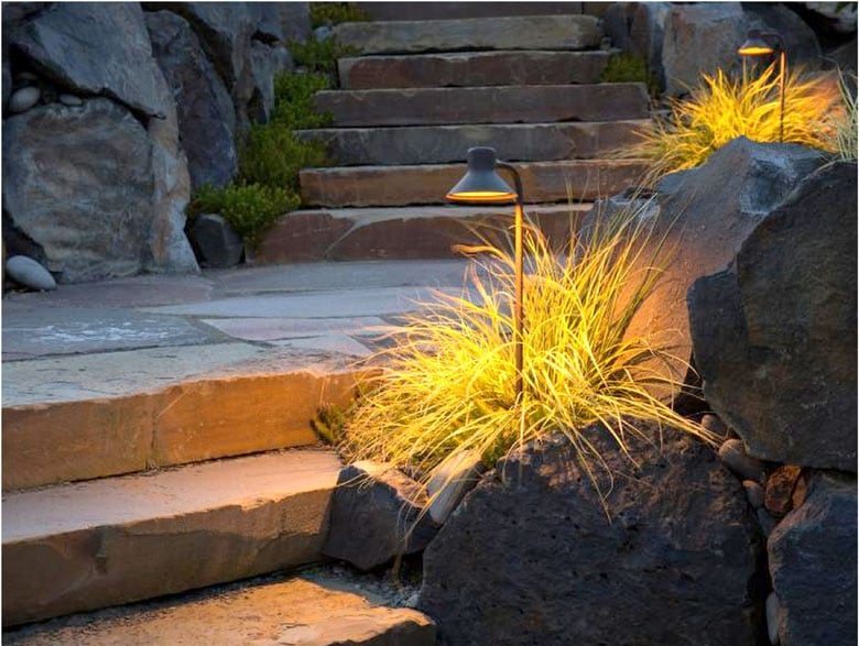 path way lights lighting up grass and stones at night