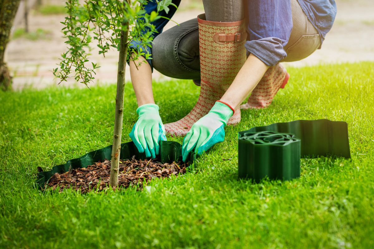 woman placing plastic roll edging between grass and mulch around small tree in yard