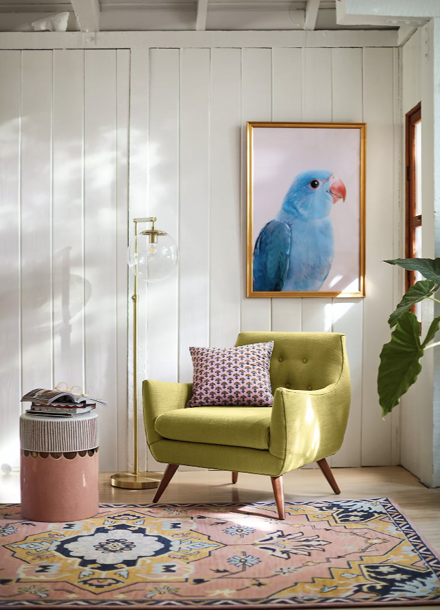 ruang tamu dengan seni dinding burung beo karpet kargo merah muda kursi duduk hijau