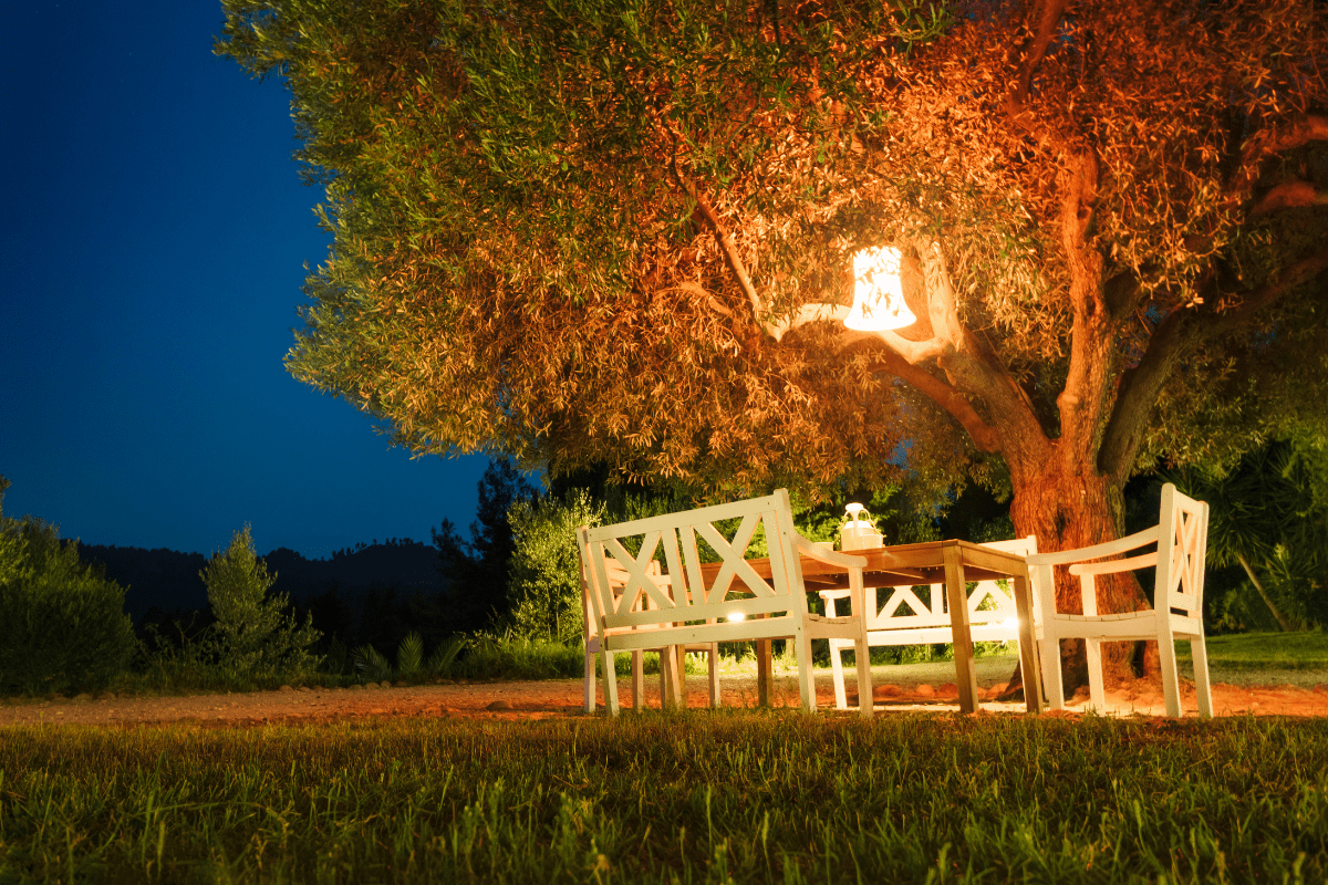 lantern lit up in tree with table and chairs beneath outside backyard