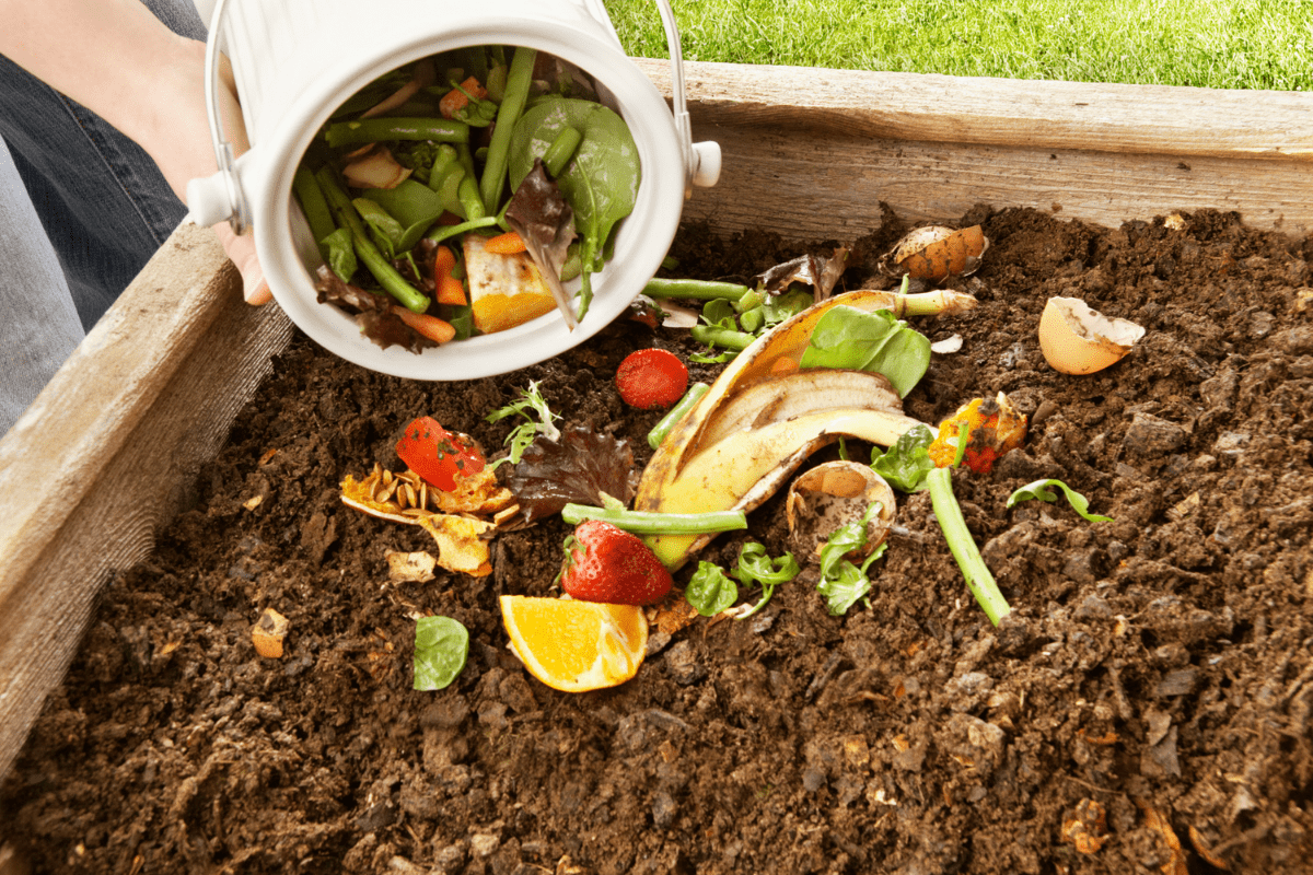 spreading compost