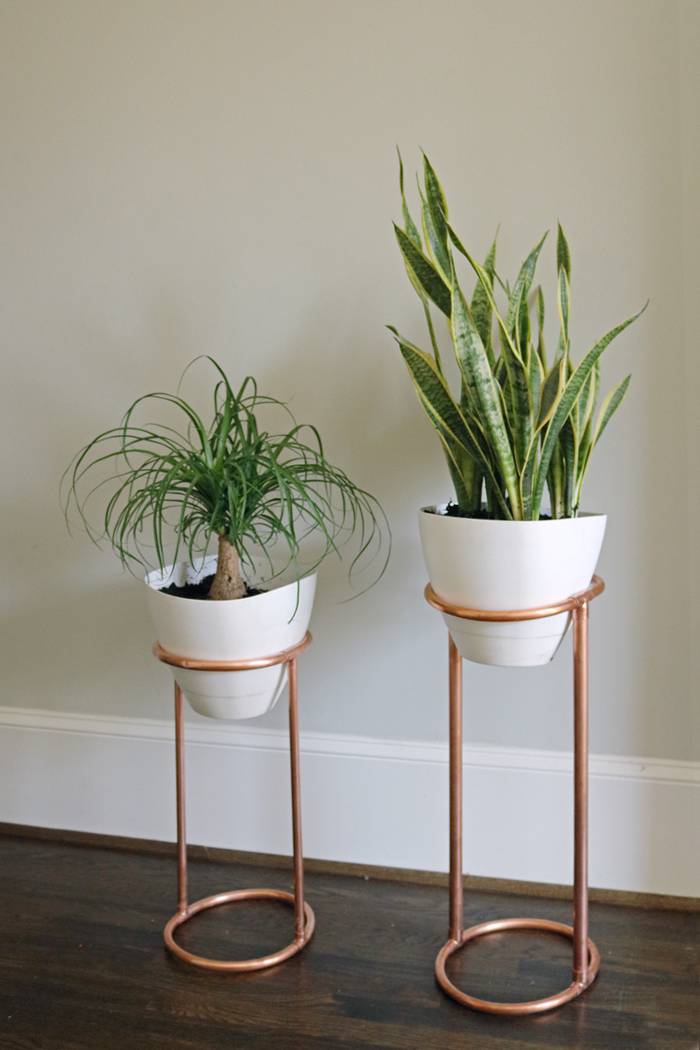 copper handmade plant stands with snake plant and air plant in a white pot