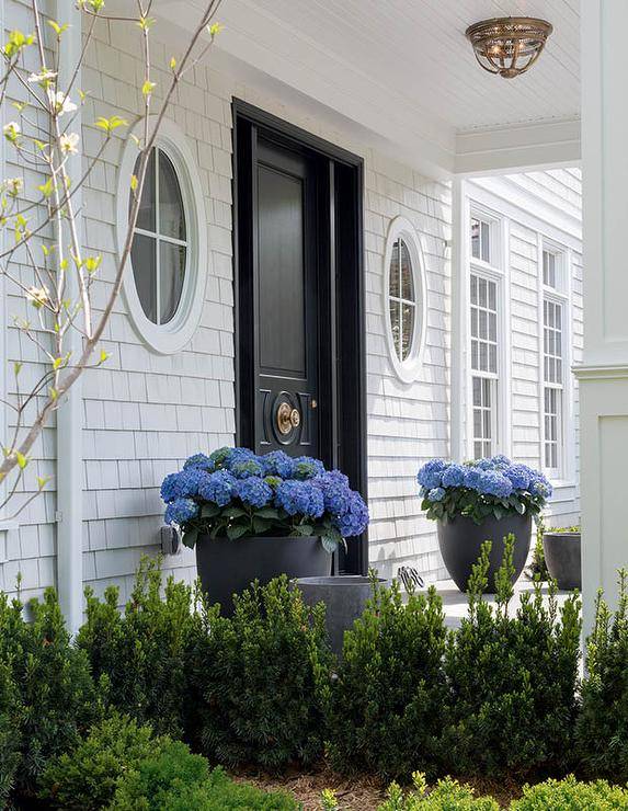 Black planters potted with blue hydrangeas flanking a black front door displaying light gray shingles and round windows surrounding lush greenery.