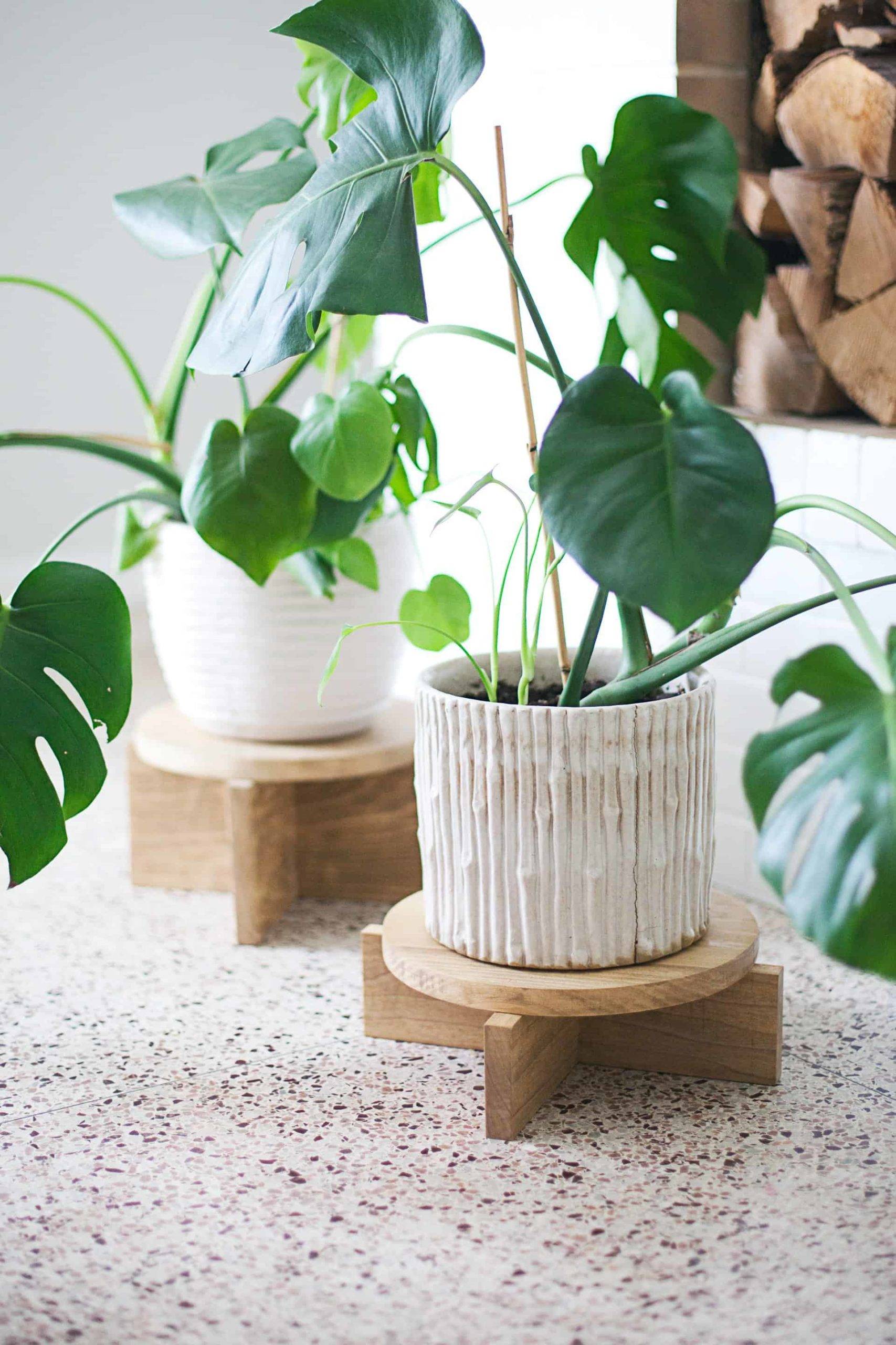 modern oak outdoor plant stand with white pot and greenery