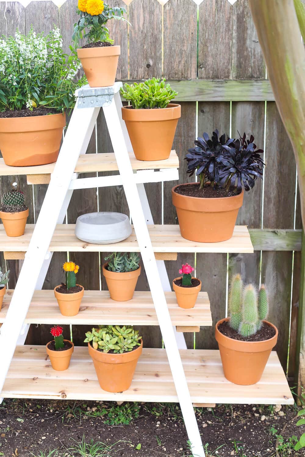 old garden ladder painted white with pine wood shelves turned into outdoor plant stand placed in garden