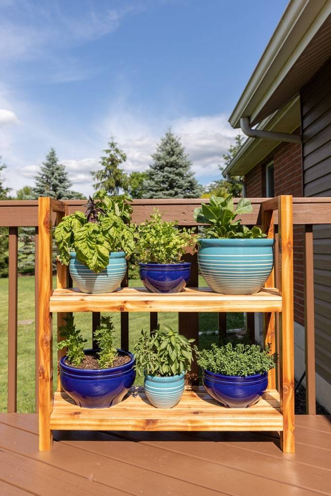 simple outdoor wood plant stand on porch with blue potted plants