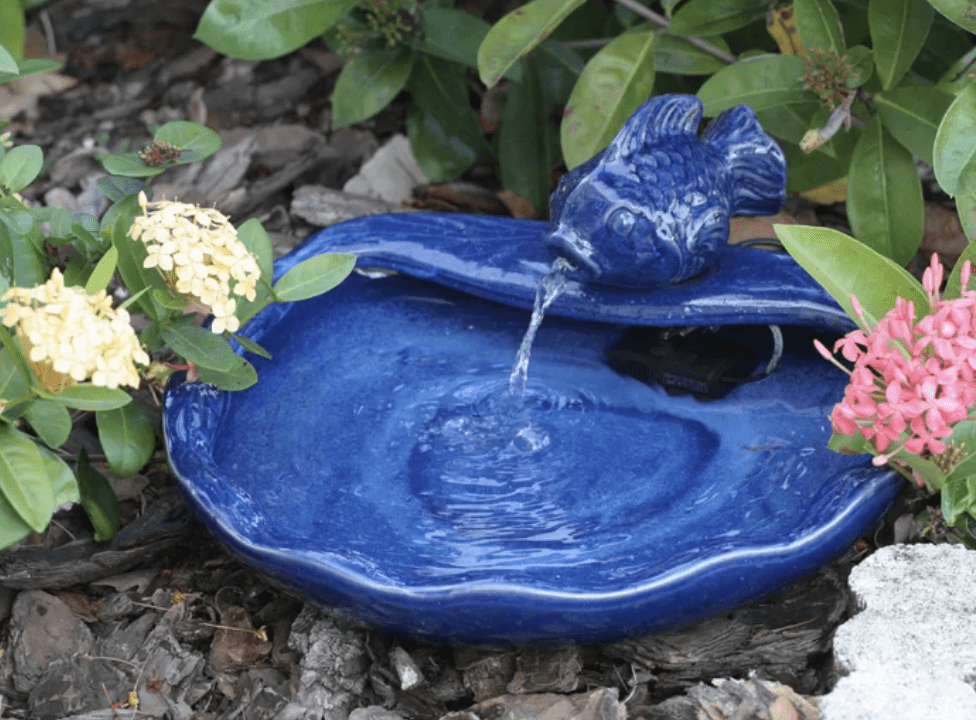 blue fish water fountain