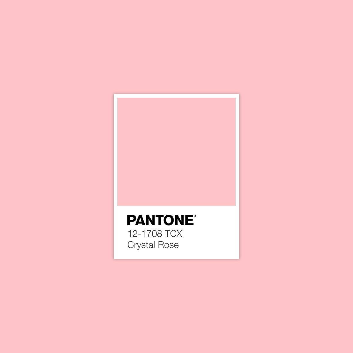 Color of the Year 2023 and PANTONE SPRING/SUMMER TRENDS