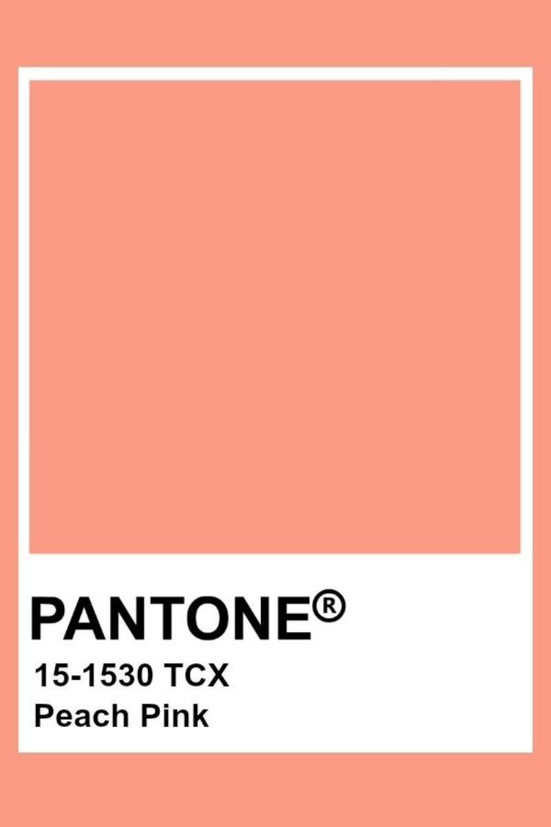 Pantone Deco Rose  Pantone color, Pantone pink shades, Pantone pink