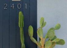 Potted cacti sit in front of a blue shiplap front door accented with modern house numbers.