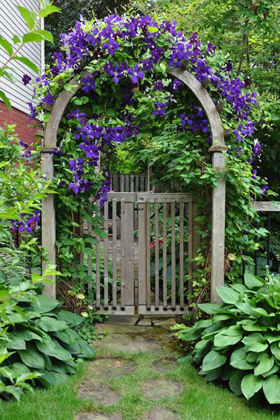purple flower covered arch garden gate