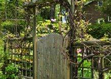 grape vine wrapped gate with green grass in garden
