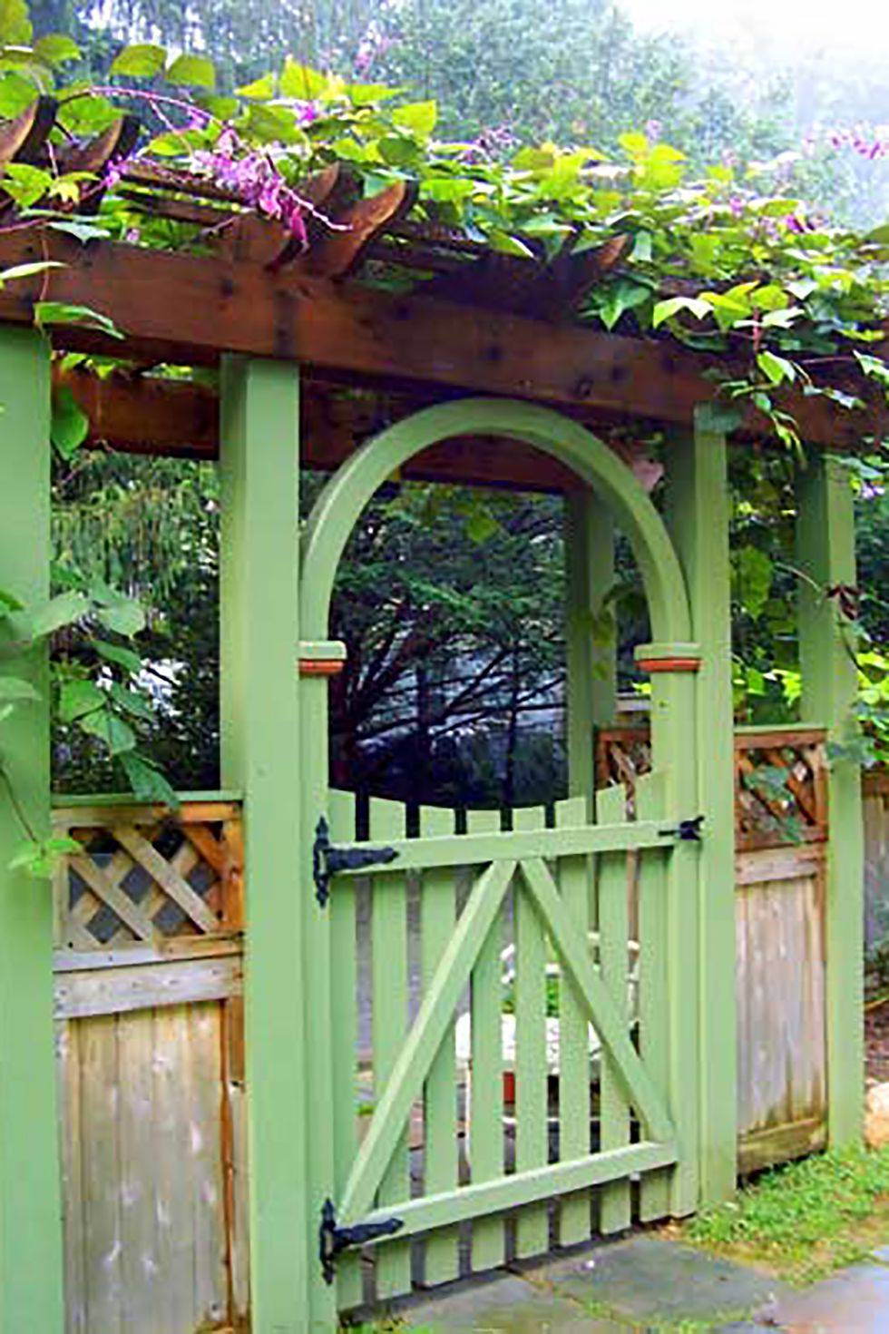 green wood garden gate covered in hyancith