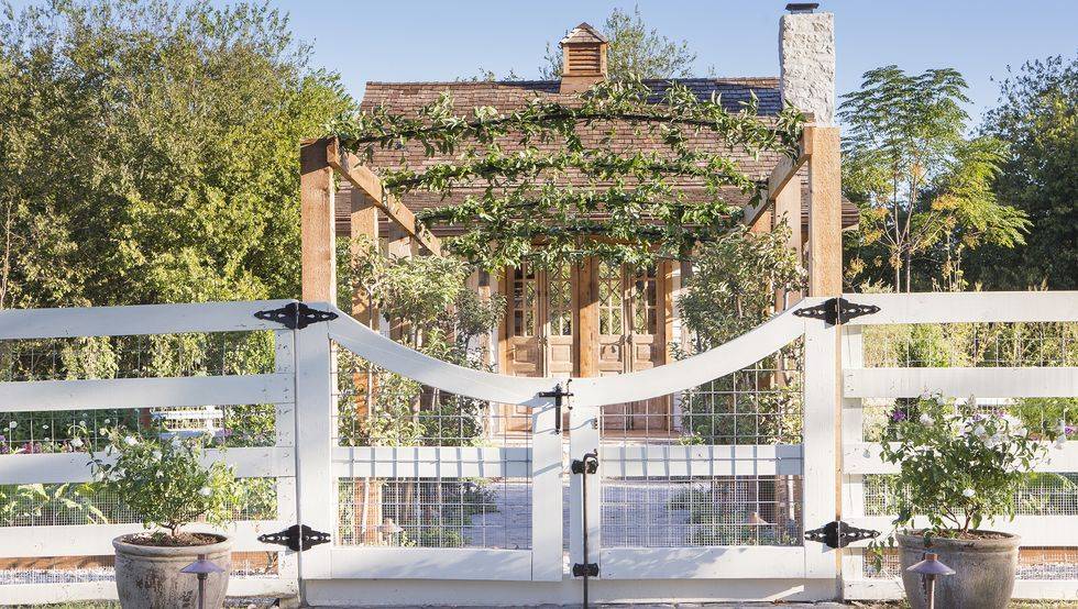 white garden gate with square chicken wire fencing and pergola