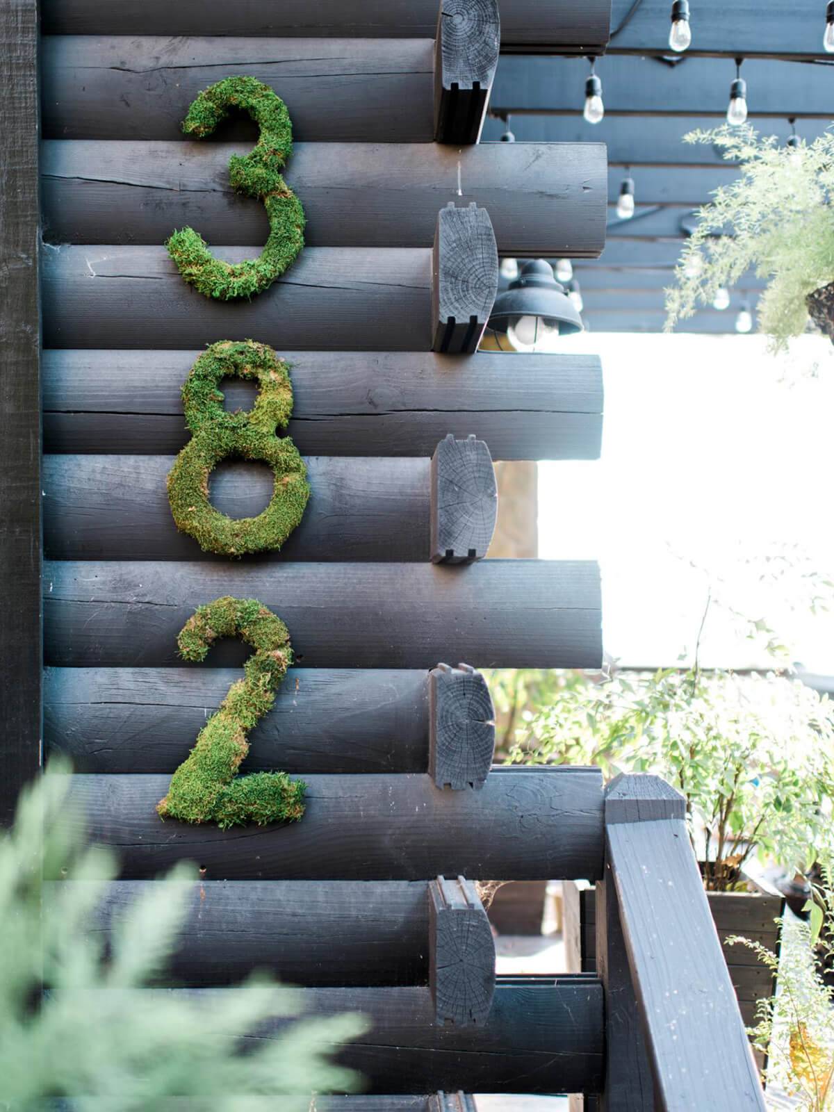 moss house numbers on side of black log cabin