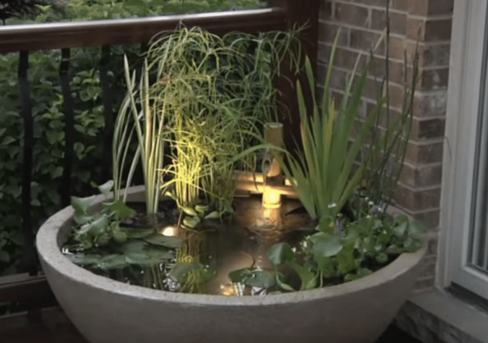 water bowl feature in backyard at night