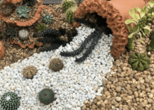 contrasting rock garden pea gravel