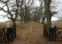 rustic criss cross wooden gate out in country tree lined road covered with leaves