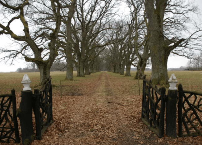 40-wooden-gate-designs-ideas-for-your-backyard-w-pictures-decoist