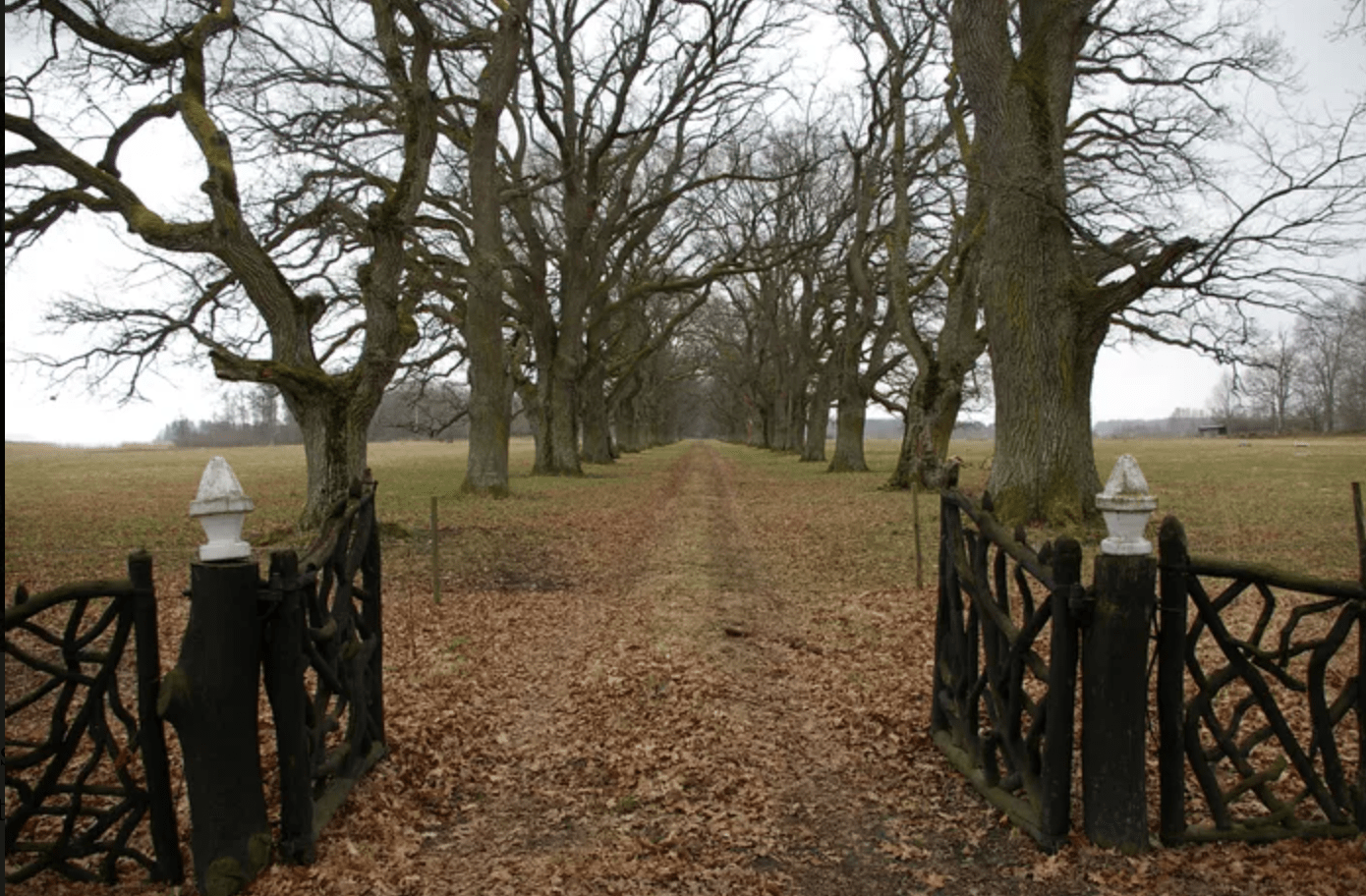 rustic criss cross wooden gate out in country tree lined road covered with leaves