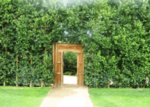 hidden wooden gate in overgrown garden area