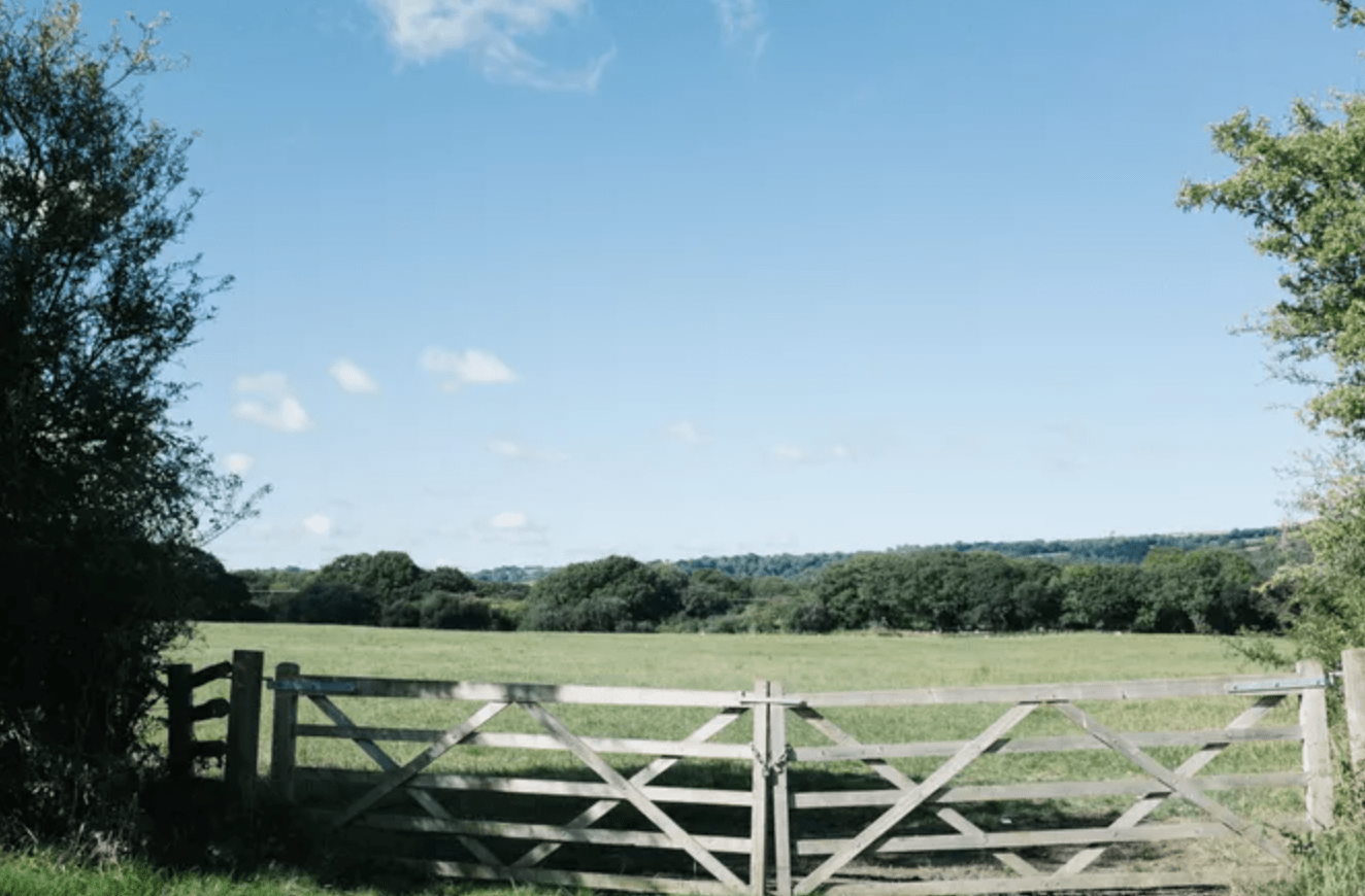 large farm gate in front of pasture field