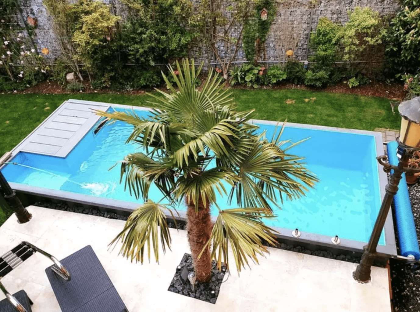 long plunge pool with palm tree