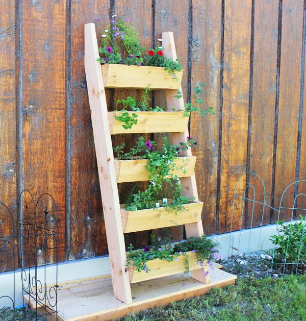 tiered ladder leaning on fence with plants inside