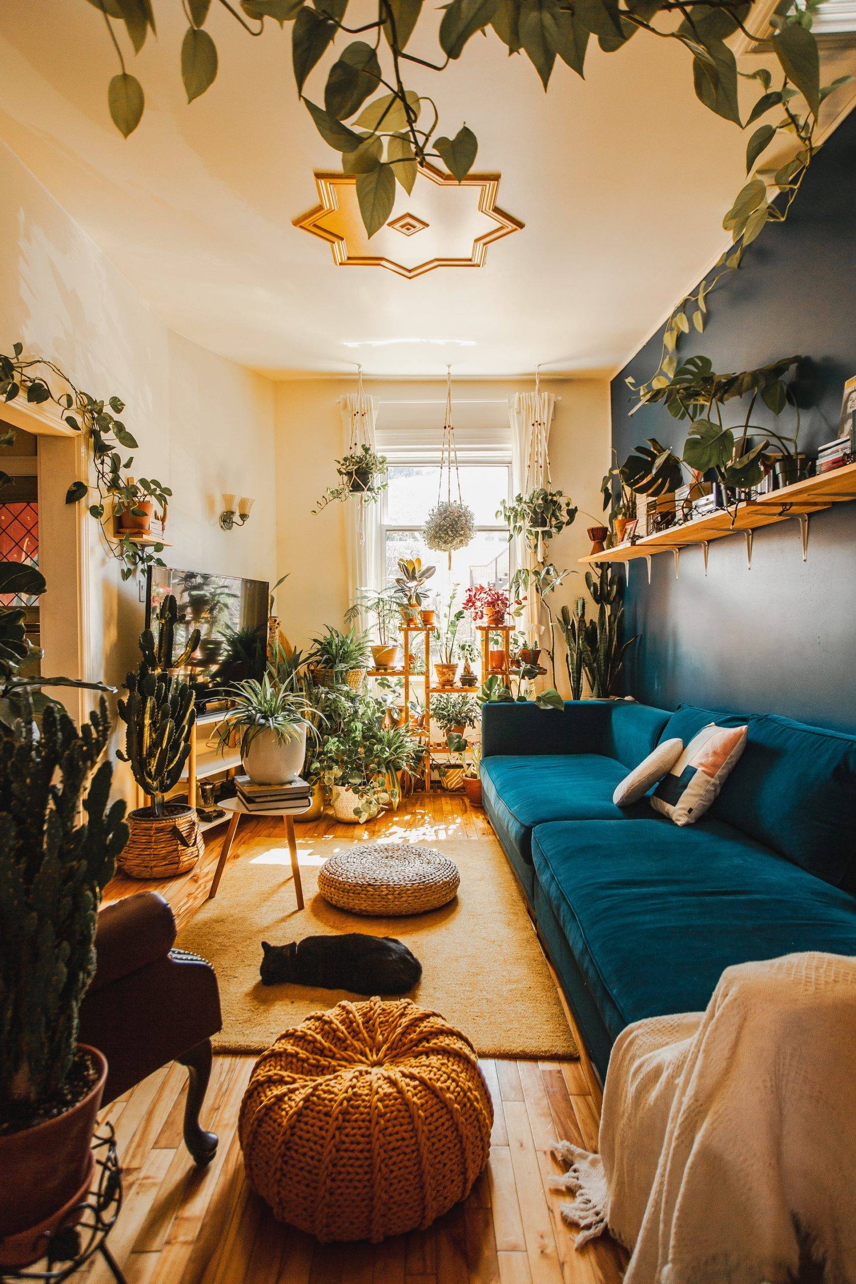 A room filled with green plants